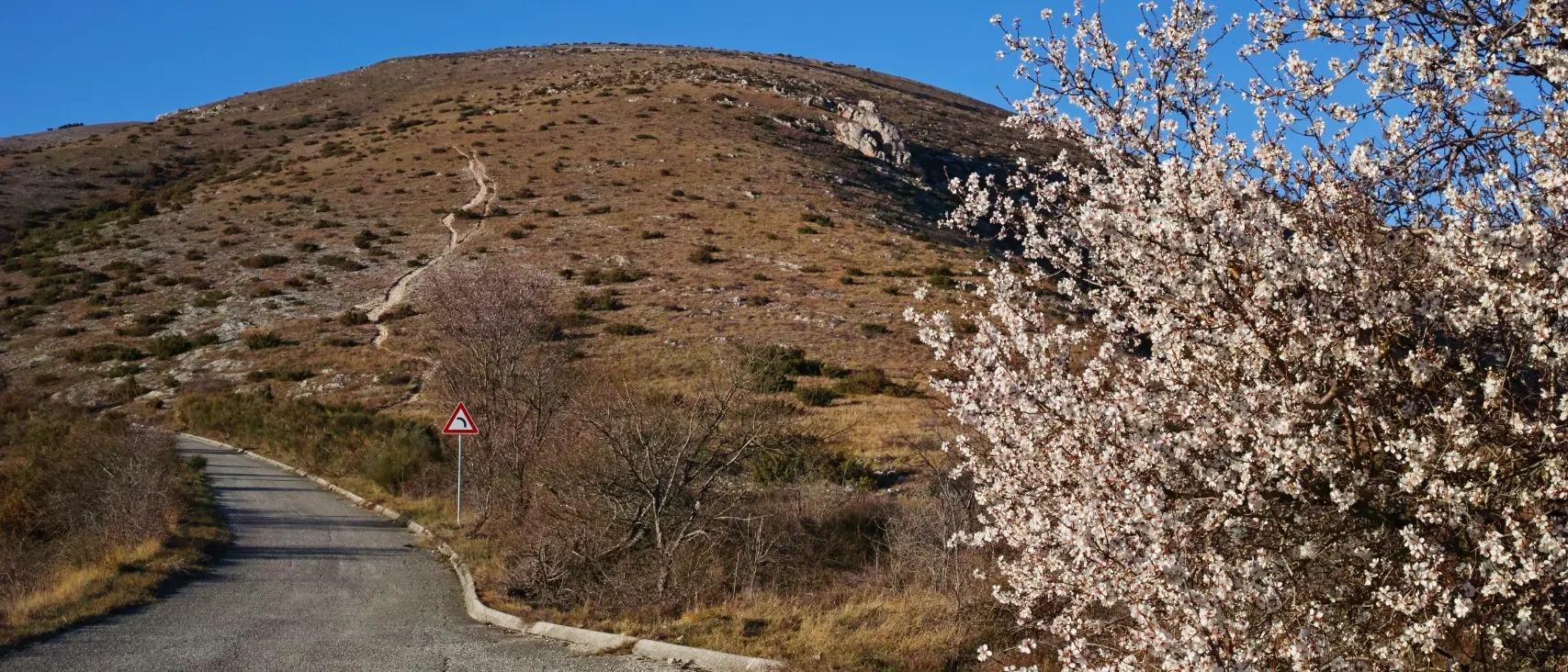 Colline verdi con alberi in fiore e un cielo blu.